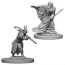 Elf Druid Male D&D Nolzur's Miniatures