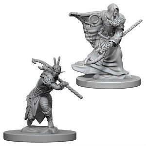 Elf Druid Male D&D Nolzur's Miniatures