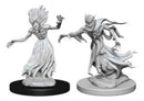 Wraith & Specter D&D Nolzur's Miniatures